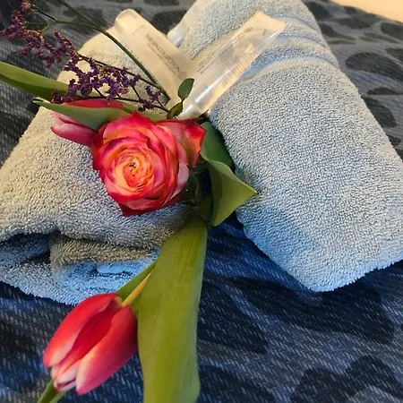 Bednboot Met Terras Aan Het Water Feriehus