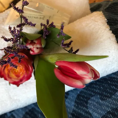 Holiday home Bednboot Met Terras Aan Het Water Rijpwetering