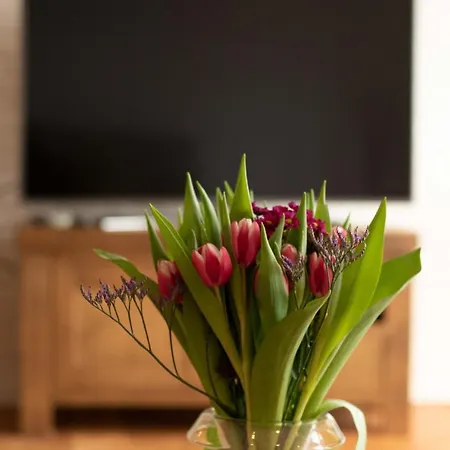 Bednboot Met Terras Aan Het Water *