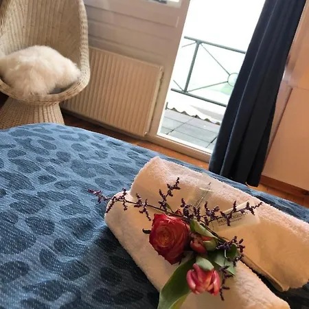 Bednboot Met Terras Aan Het Water Nyaraló