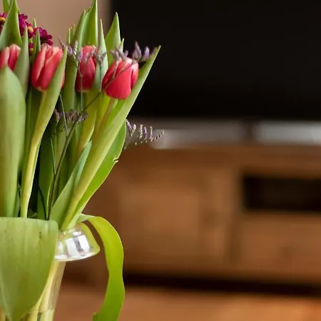 Bednboot Met Terras Aan Het Water *