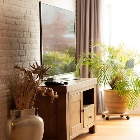 Bednboot Met Terras Aan Het Water Feriehus