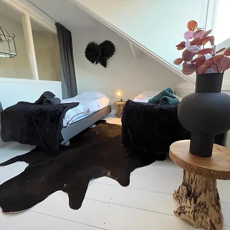 Bednboot Met Terras Aan Het Water