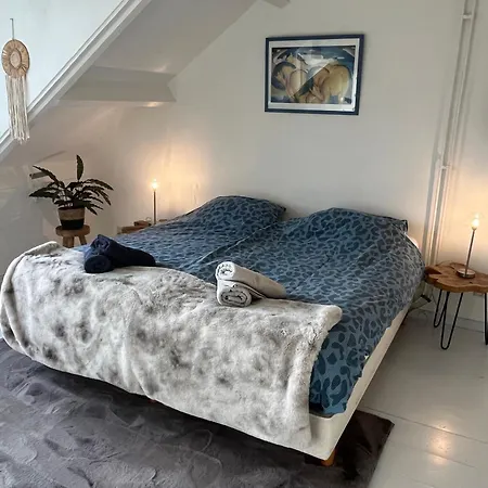 Prázdninový dům Bednboot Met Terras Aan Het Water