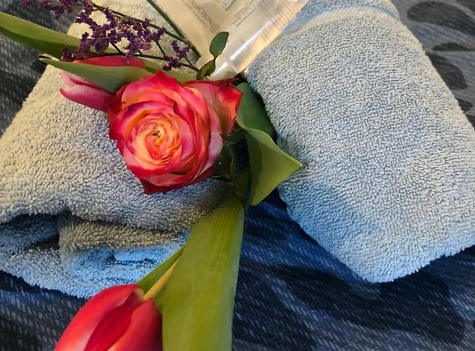 Bednboot Met Terras Aan Het Water Prázdninový dům