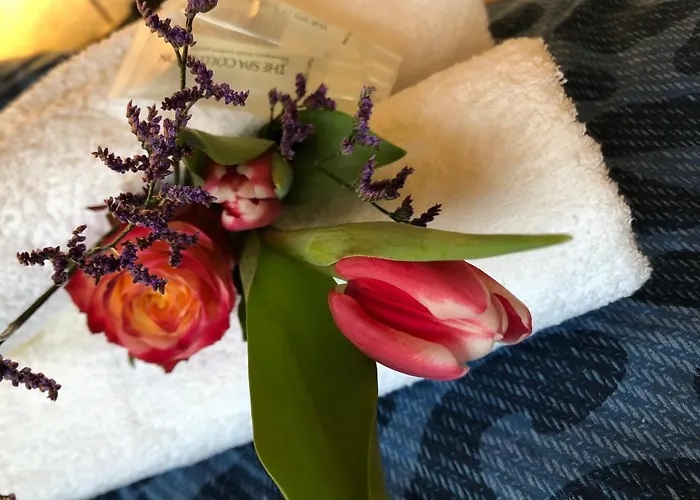 Сasa de vacaciones Bednboot Met Terras Aan Het Water Rijpwetering