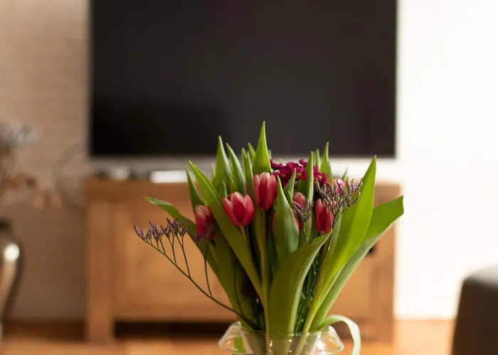 Bednboot Met Terras Aan Het Water *