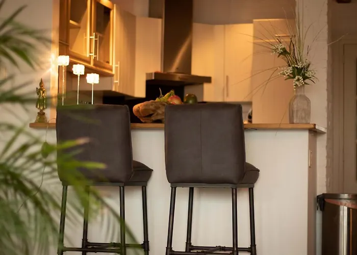 Bednboot Met Terras Aan Het Water *