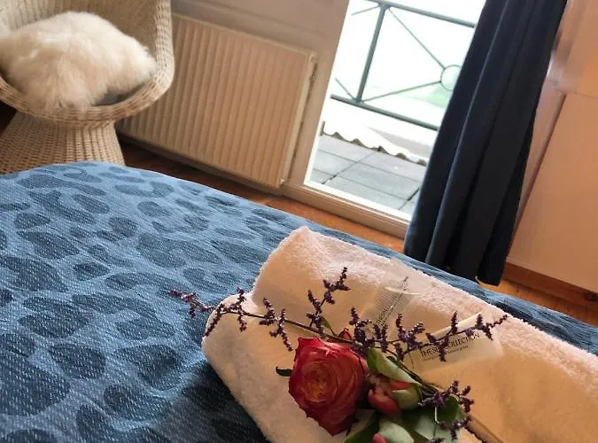 Bednboot Met Terras Aan Het Water Сasa de vacaciones