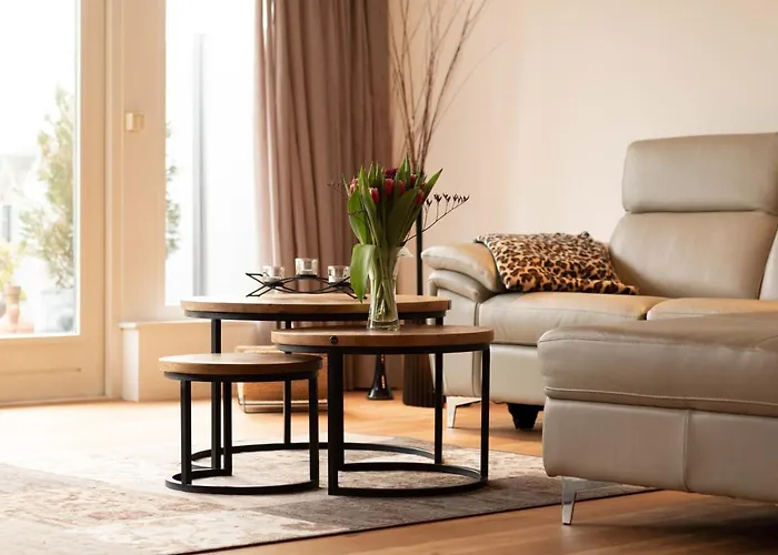 Bednboot Met Terras Aan Het Water *