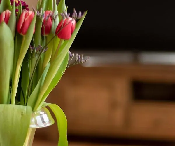 Bednboot Met Terras Aan Het Water *