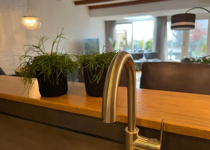 Bednboot Met Terras Aan Het Water Rijpwetering