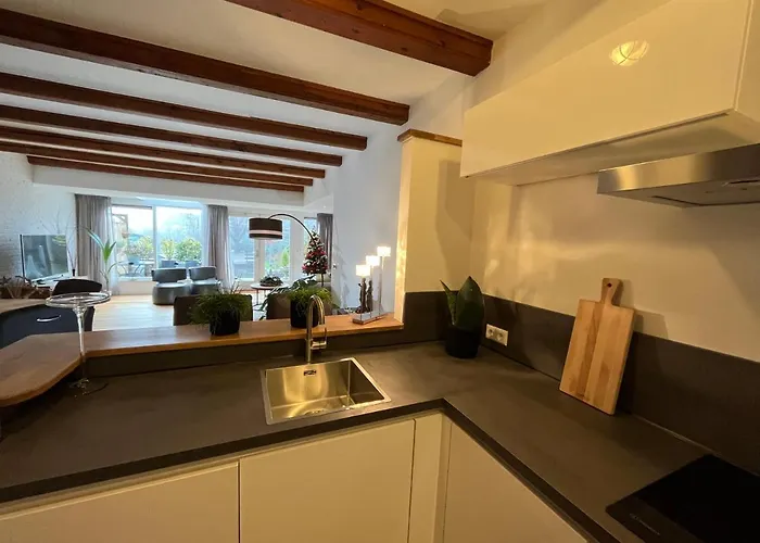 Bednboot Met Terras Aan Het Water