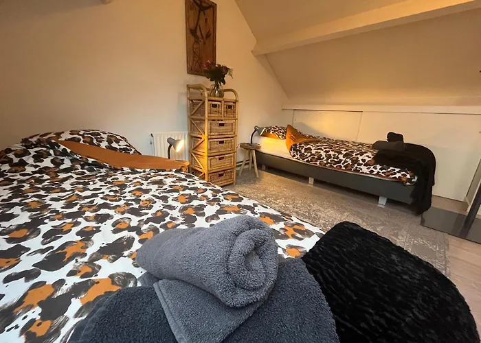 Bednboot Met Terras Aan Het Water * Rijpwetering