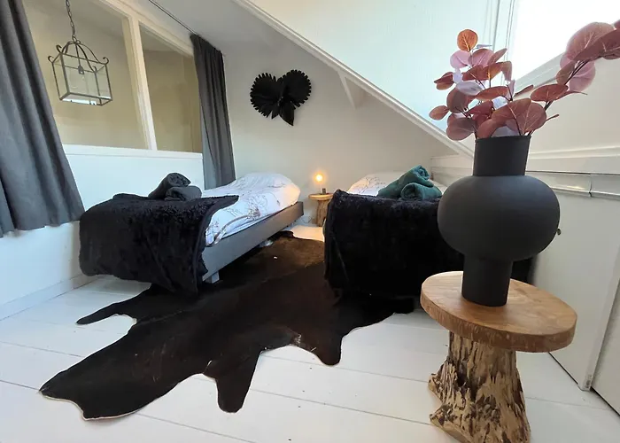 Bednboot Met Terras Aan Het Water