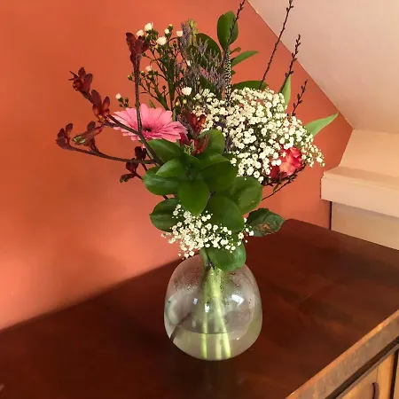 Dom wakacyjny Bednboot Met Terras Aan Het Water Rijpwetering