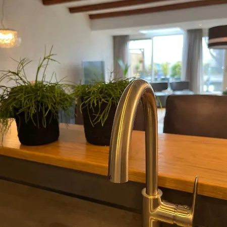 Bednboot Met Terras Aan Het Water Rijpwetering