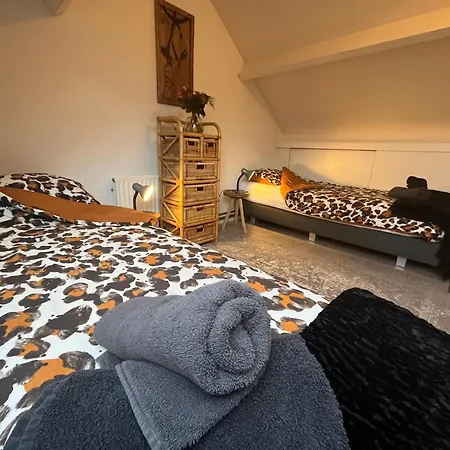 Bednboot Met Terras Aan Het Water * Rijpwetering